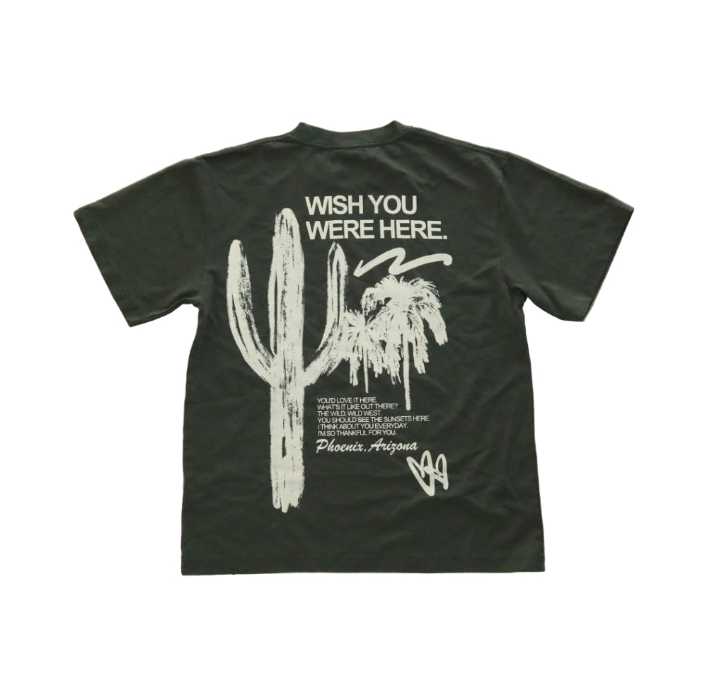 Wish You Were Here (PHX) Tee – Ginger CC
