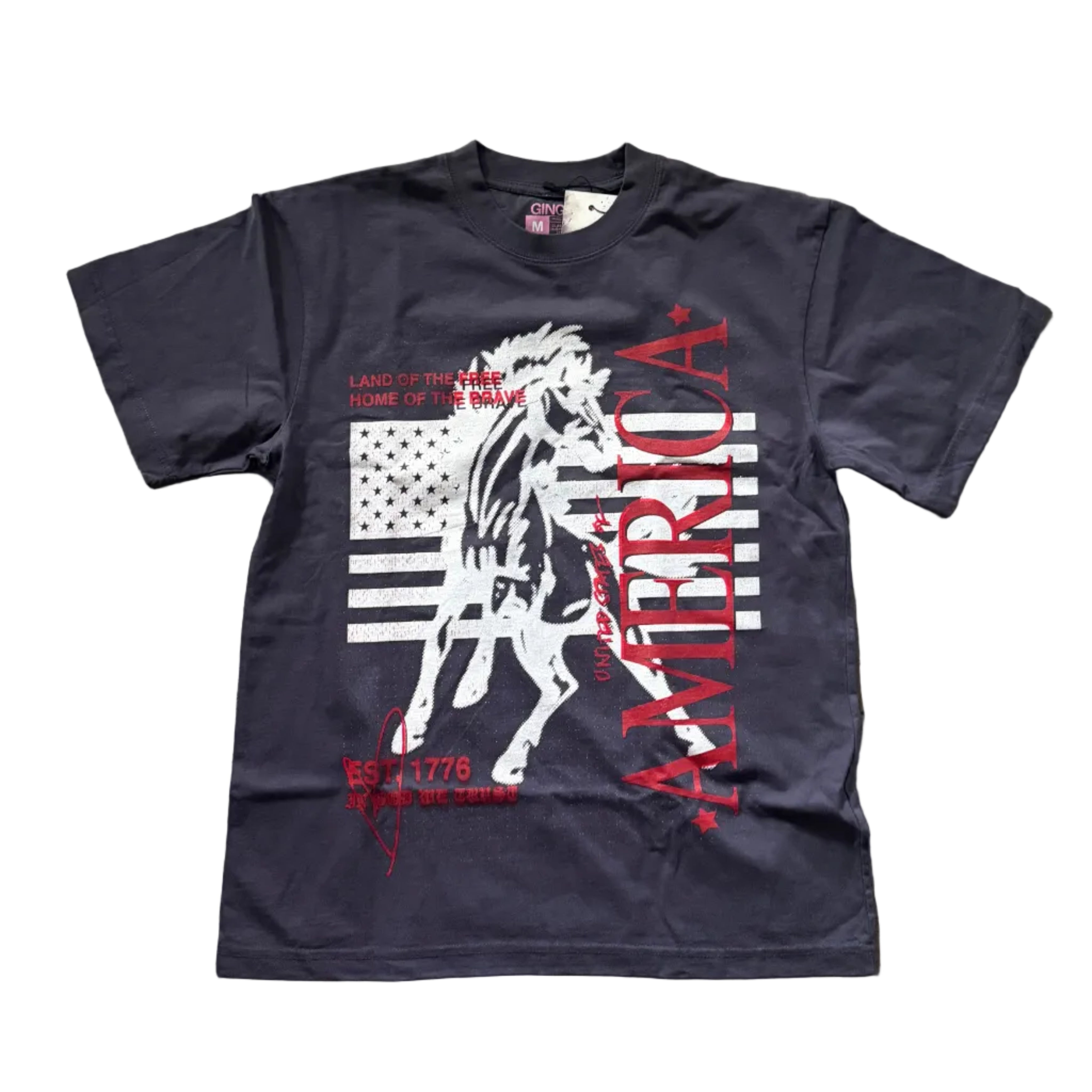 Wish You Were Here (PHX) Tee – Ginger CC